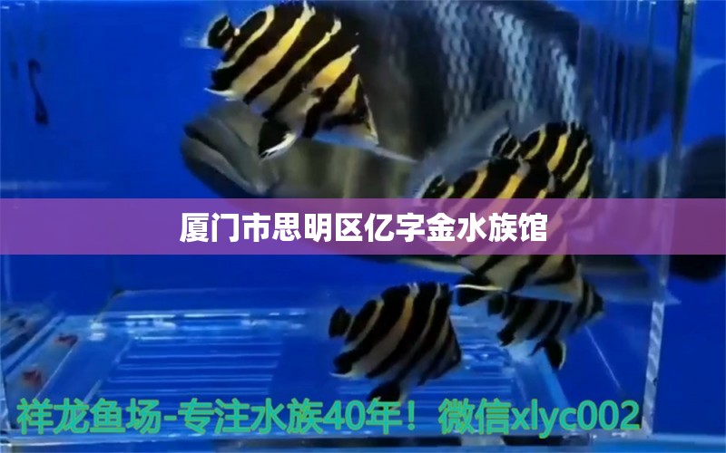 厦门市思明区亿字金水族馆 全国水族馆企业名录