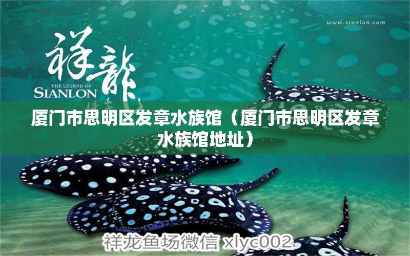 厦门市思明区发章水族馆（厦门市思明区发章水族馆地址）