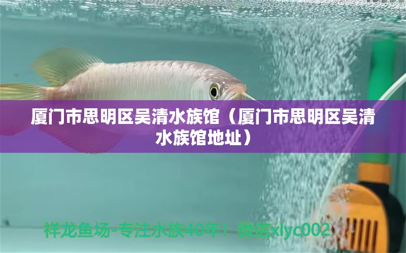 厦门市思明区吴清水族馆（厦门市思明区吴清水族馆地址）