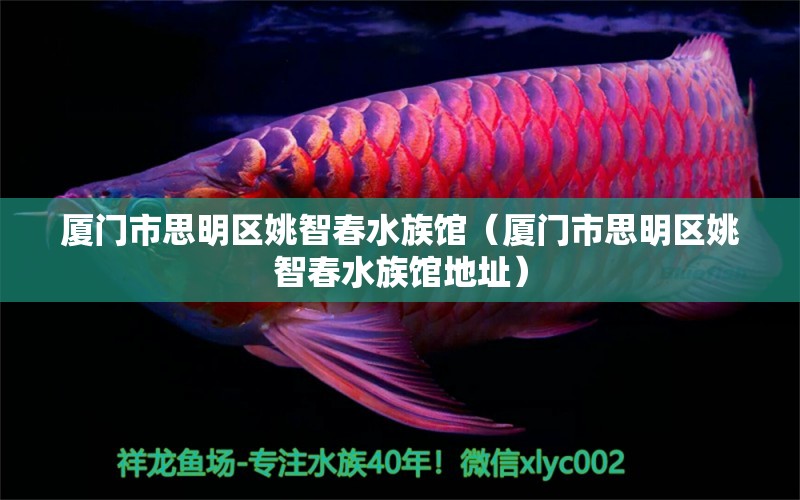 厦门市思明区姚智春水族馆（厦门市思明区姚智春水族馆地址）