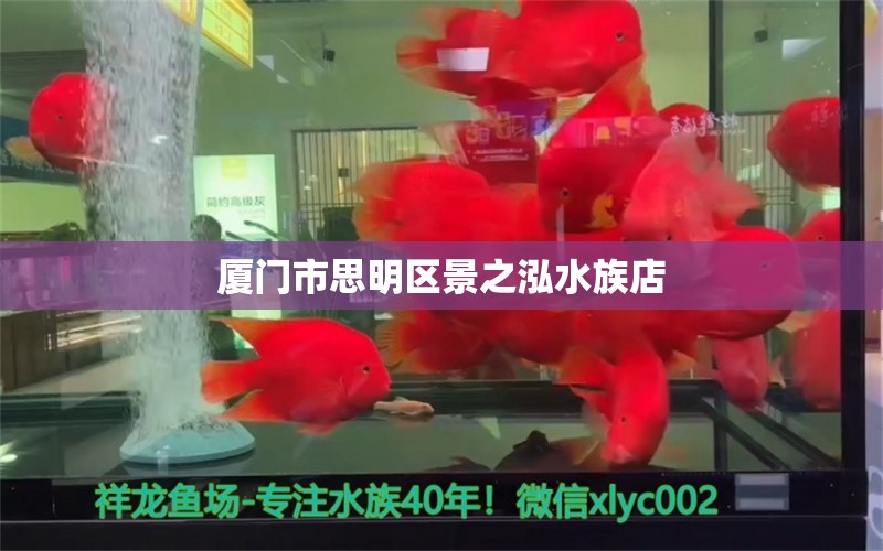 厦门市思明区景之泓水族店