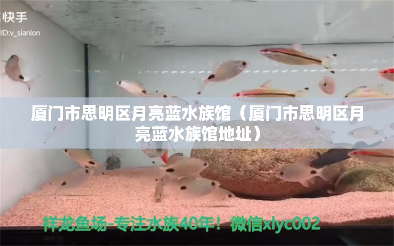 厦门市思明区月亮蓝水族馆（厦门市思明区月亮蓝水族馆地址）