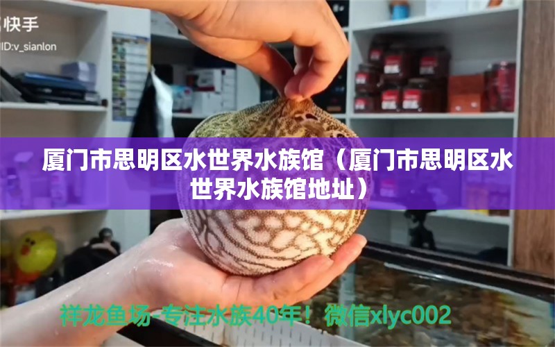 厦门市思明区水世界水族馆（厦门市思明区水世界水族馆地址）