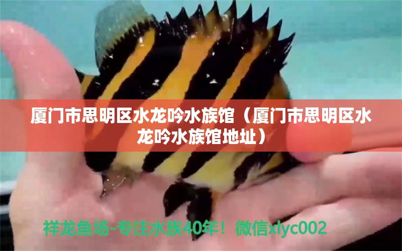 厦门市思明区水龙吟水族馆（厦门市思明区水龙吟水族馆地址） 全国水族馆企业名录