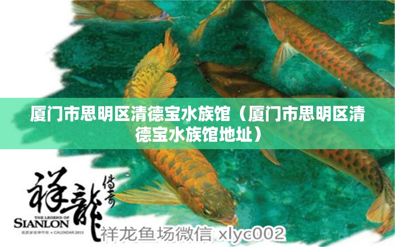 厦门市思明区清德宝水族馆（厦门市思明区清德宝水族馆地址）