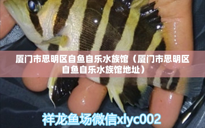 厦门市思明区自鱼自乐水族馆（厦门市思明区自鱼自乐水族馆地址）