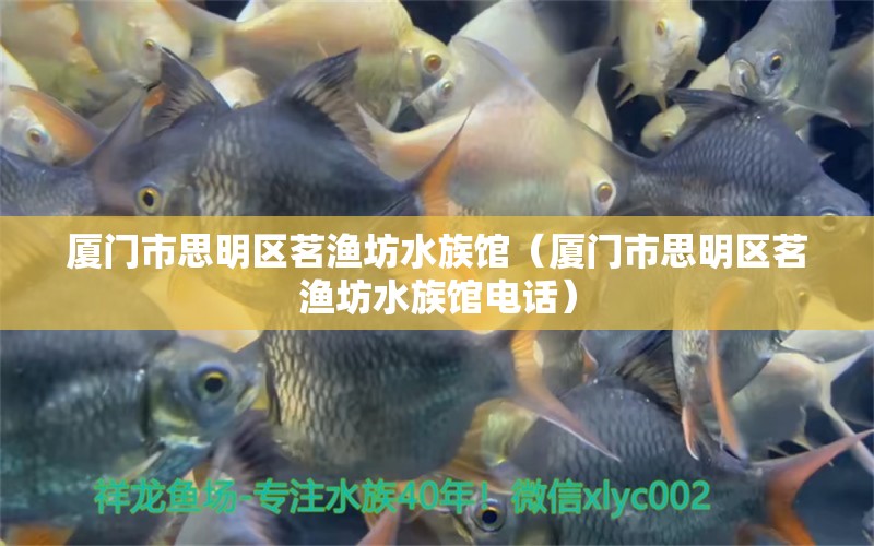 厦门市思明区茗渔坊水族馆（厦门市思明区茗渔坊水族馆电话）