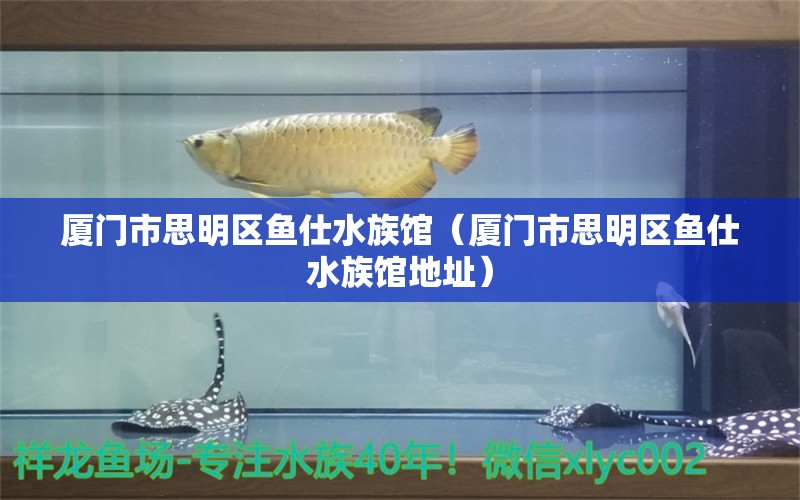 厦门市思明区鱼仕水族馆（厦门市思明区鱼仕水族馆地址） 全国水族馆企业名录