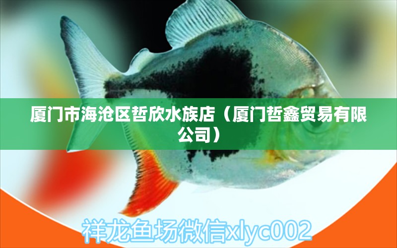 厦门市海沧区哲欣水族店（厦门哲鑫贸易有限公司）