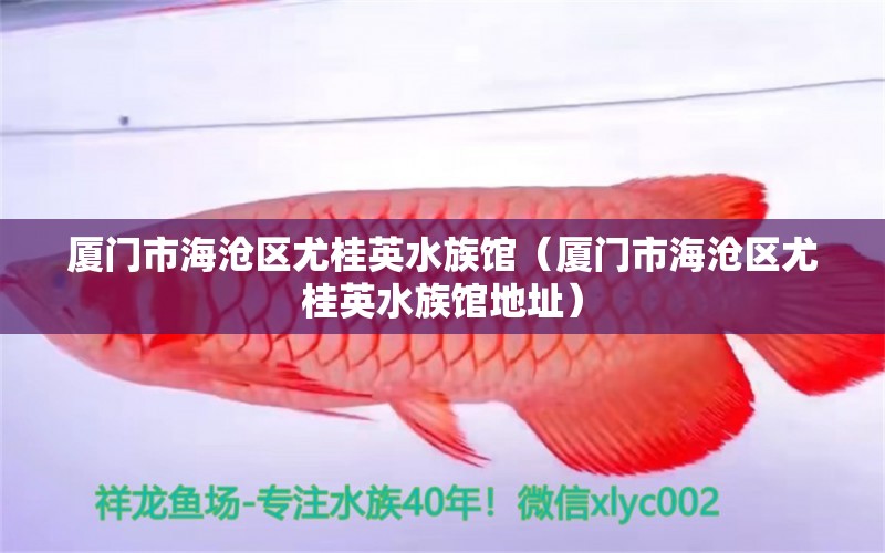 厦门市海沧区尤桂英水族馆（厦门市海沧区尤桂英水族馆地址）