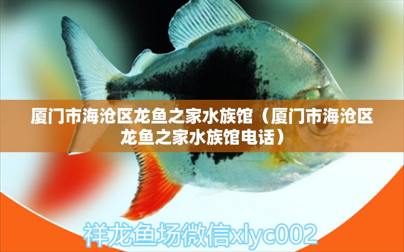 厦门市海沧区龙鱼之家水族馆（厦门市海沧区龙鱼之家水族馆电话）