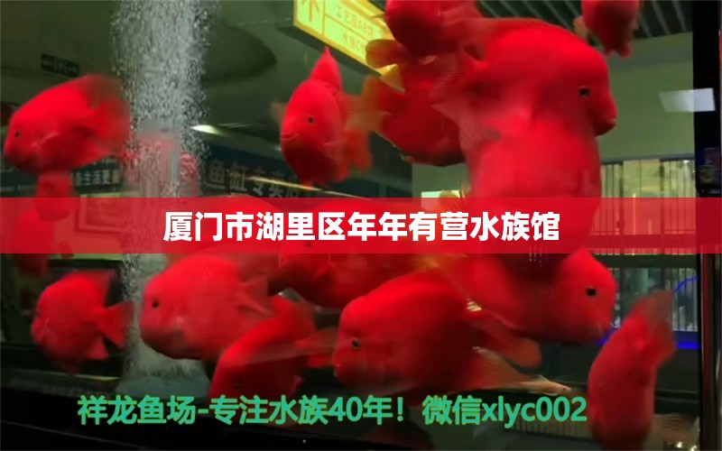 厦门市湖里区年年有营水族馆