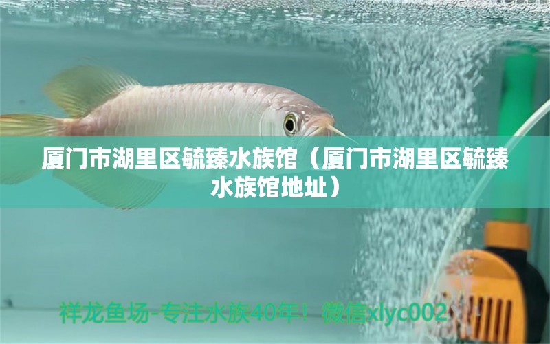 厦门市湖里区毓臻水族馆（厦门市湖里区毓臻水族馆地址）