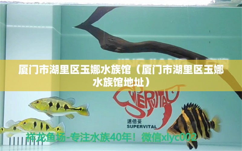 厦门市湖里区玉娜水族馆（厦门市湖里区玉娜水族馆地址）