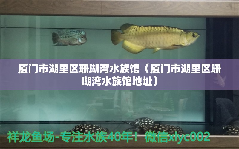 厦门市湖里区珊瑚湾水族馆（厦门市湖里区珊瑚湾水族馆地址） 全国水族馆企业名录