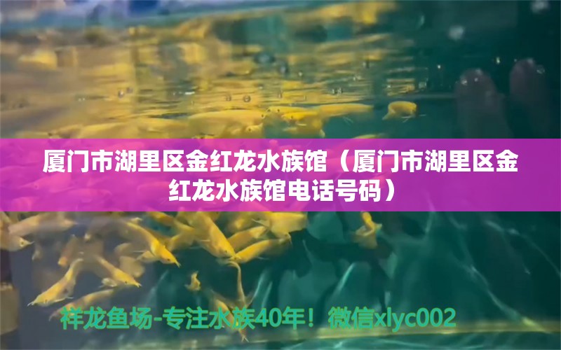 厦门市湖里区金红龙水族馆（厦门市湖里区金红龙水族馆电话号码） 全国水族馆企业名录