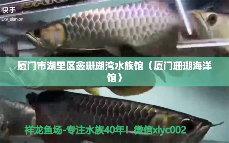 厦门市湖里区鑫珊瑚湾水族馆（厦门珊瑚海洋馆）