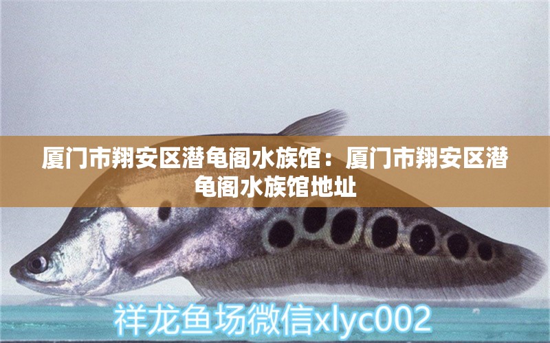 厦门市翔安区潜龟阁水族馆：厦门市翔安区潜龟阁水族馆地址