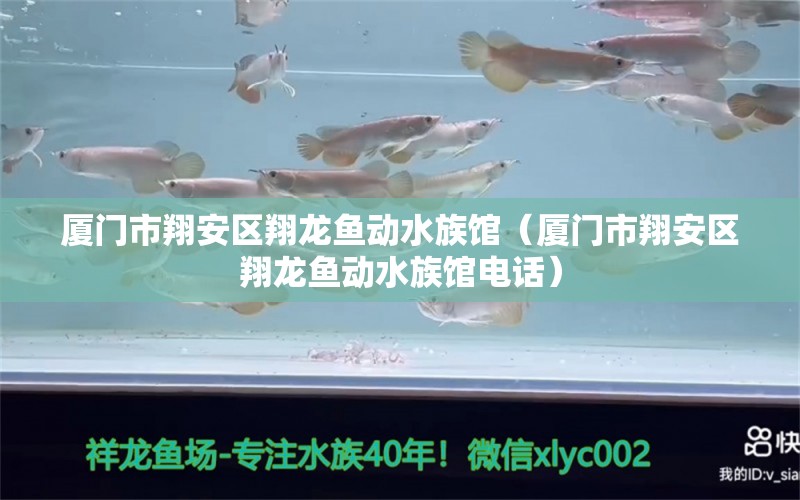 厦门市翔安区翔龙鱼动水族馆（厦门市翔安区翔龙鱼动水族馆电话）