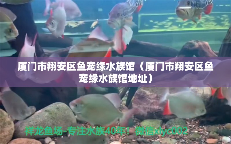 厦门市翔安区鱼宠缘水族馆（厦门市翔安区鱼宠缘水族馆地址） 全国水族馆企业名录