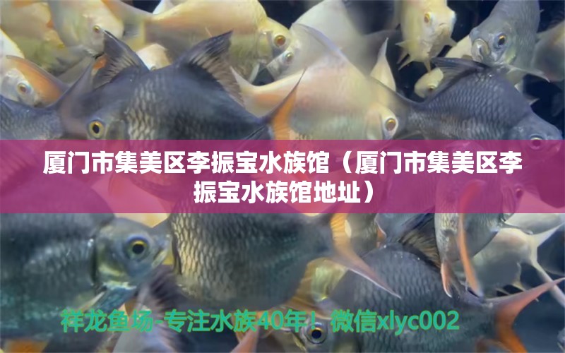 厦门市集美区李振宝水族馆（厦门市集美区李振宝水族馆地址） 全国水族馆企业名录