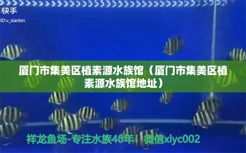 厦门市集美区植素源水族馆（厦门市集美区植素源水族馆地址） 全国水族馆企业名录