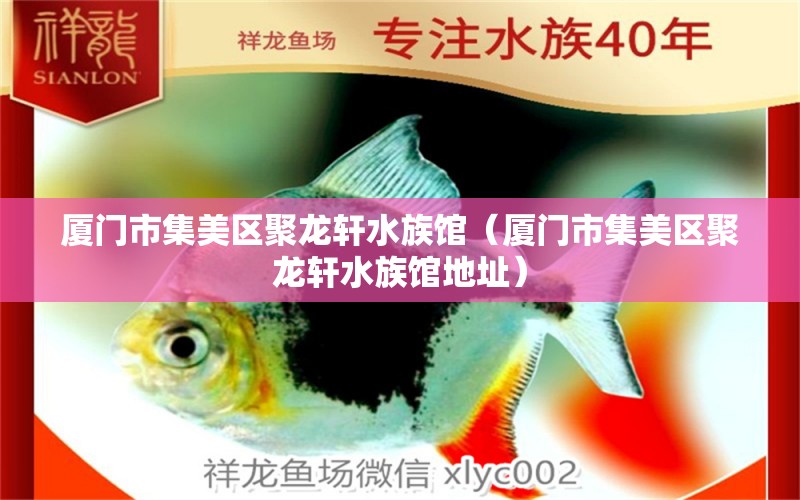 厦门市集美区聚龙轩水族馆（厦门市集美区聚龙轩水族馆地址） 全国水族馆企业名录