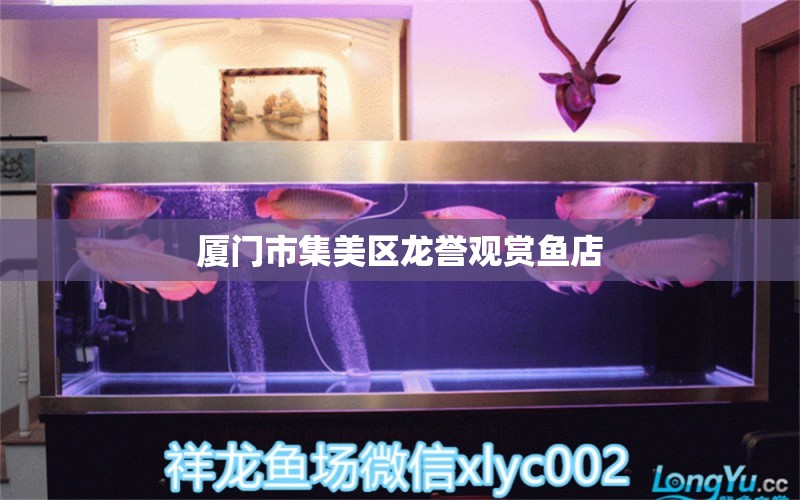 厦门市集美区龙誉观赏鱼店 全国水族馆企业名录