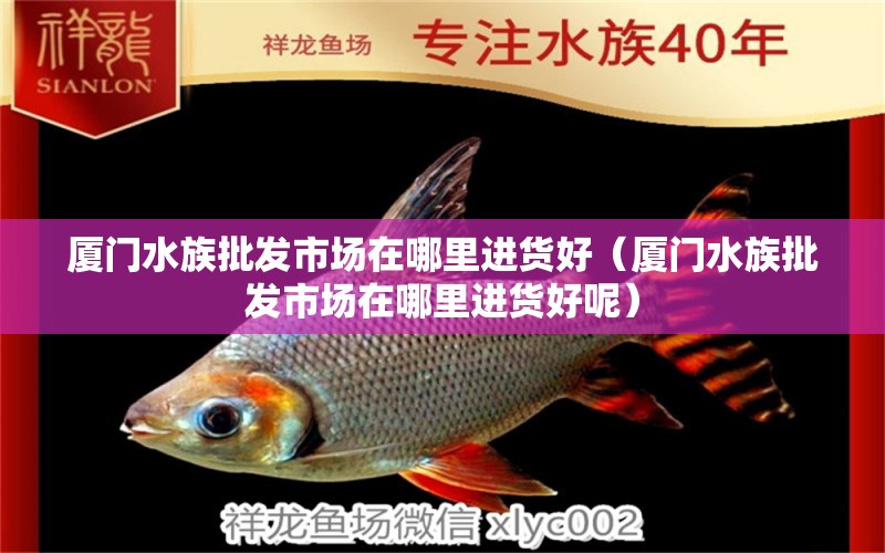 厦门水族批发市场在哪里进货好（厦门水族批发市场在哪里进货好呢）