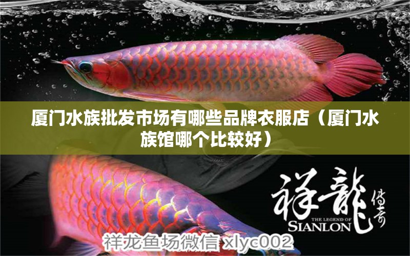 厦门水族批发市场有哪些品牌衣服店（厦门水族馆哪个比较好） 观赏鱼批发