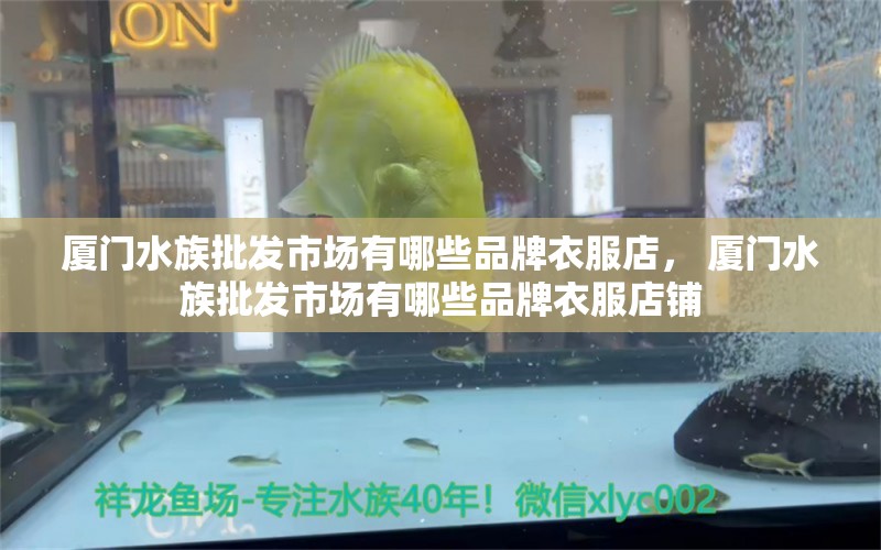 厦门水族批发市场有哪些品牌衣服店， 厦门水族批发市场有哪些品牌衣服店铺