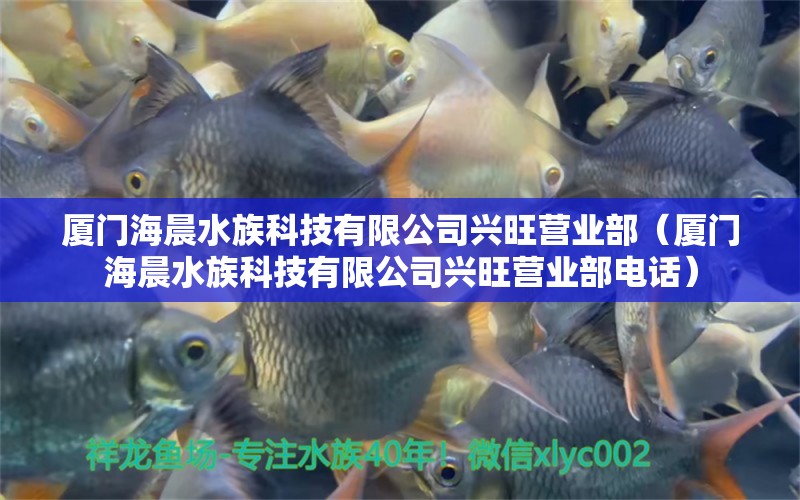 厦门海晨水族科技有限公司兴旺营业部（厦门海晨水族科技有限公司兴旺营业部电话）