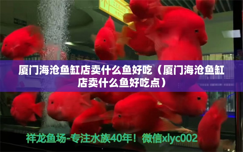 厦门海沧鱼缸店卖什么鱼好吃（厦门海沧鱼缸店卖什么鱼好吃点） 观赏鱼市场（混养鱼）