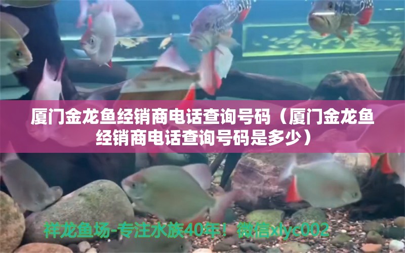 厦门金龙鱼经销商电话查询号码（厦门金龙鱼经销商电话查询号码是多少）