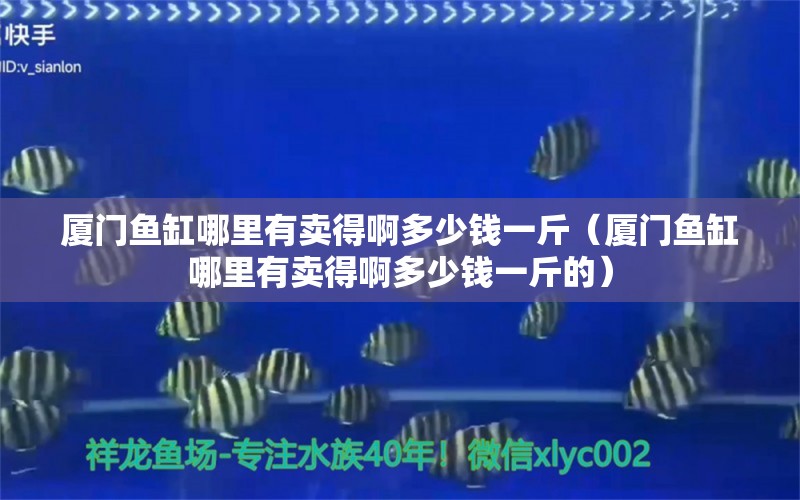 厦门鱼缸哪里有卖得啊多少钱一斤（厦门鱼缸哪里有卖得啊多少钱一斤的）