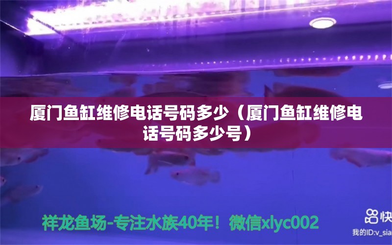 厦门鱼缸维修电话号码多少（厦门鱼缸维修电话号码多少号） 观赏鱼市场（混养鱼）