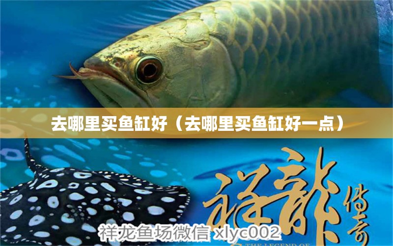 去哪里买鱼缸好（去哪里买鱼缸好一点） 祥龙水族医院