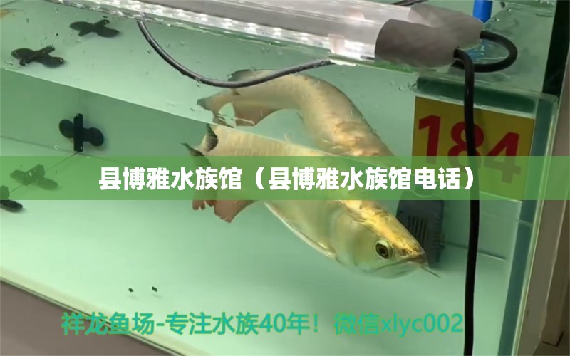 县博雅水族馆（县博雅水族馆电话） 全国水族馆企业名录