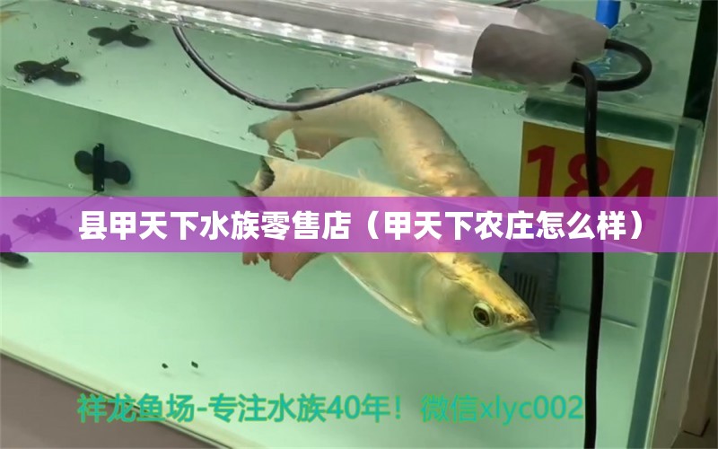 县甲天下水族零售店（甲天下农庄怎么样）