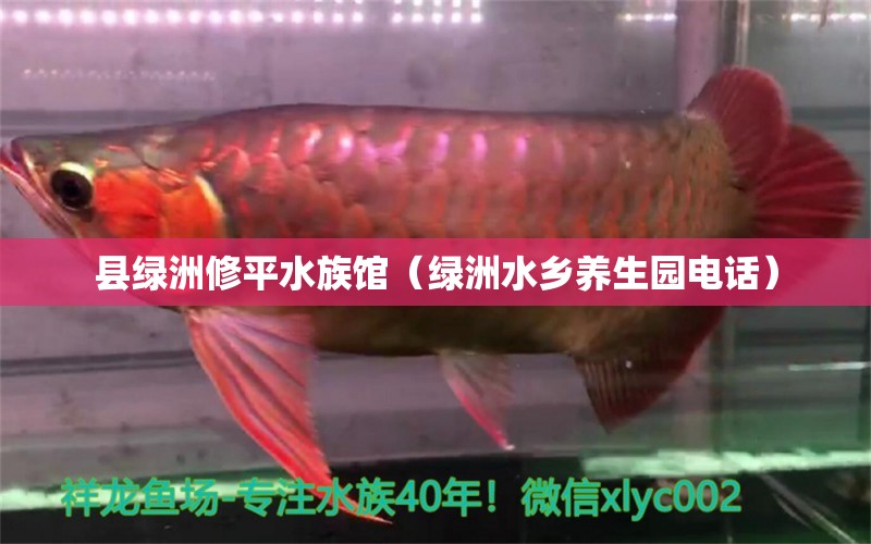 县绿洲修平水族馆（绿洲水乡养生园电话） 全国水族馆企业名录