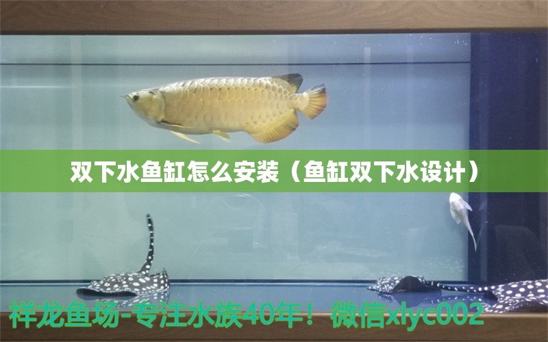 双下水鱼缸怎么安装（鱼缸双下水设计）