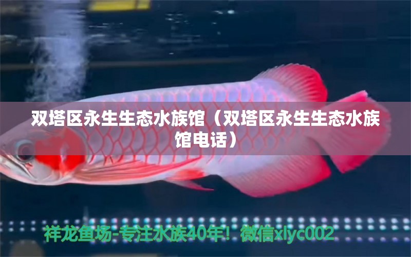 双塔区永生生态水族馆（双塔区永生生态水族馆电话） 全国水族馆企业名录