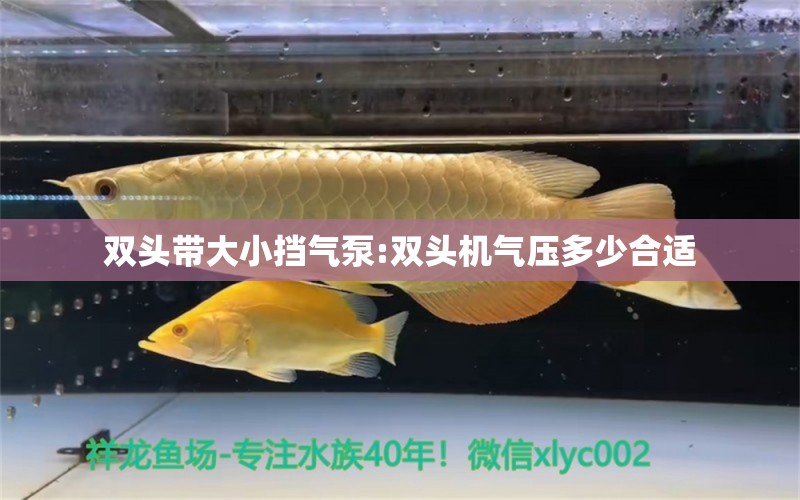 双头带大小挡气泵:双头机气压多少合适