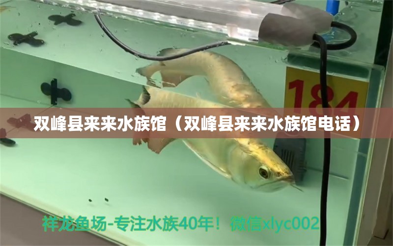 双峰县来来水族馆（双峰县来来水族馆电话） 全国水族馆企业名录