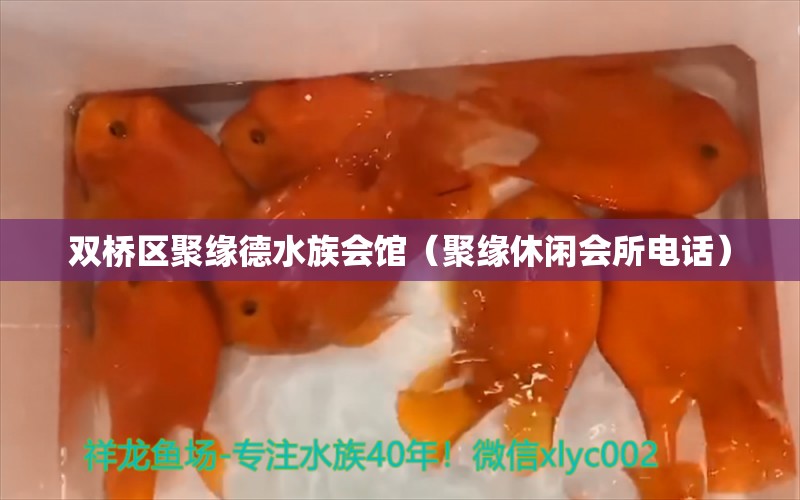 双桥区聚缘德水族会馆（聚缘休闲会所电话）