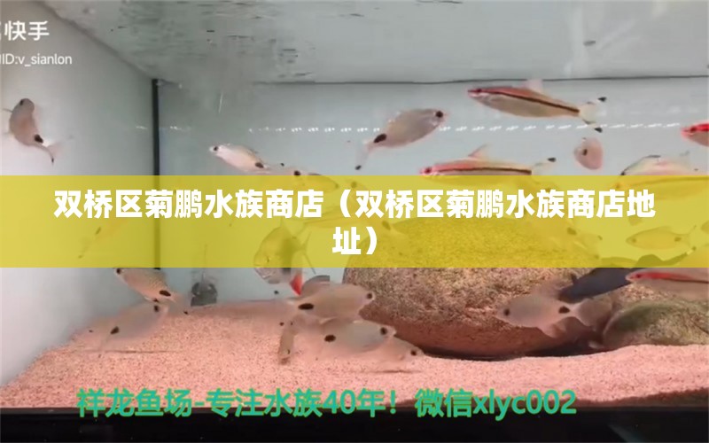 双桥区菊鹏水族商店（双桥区菊鹏水族商店地址）