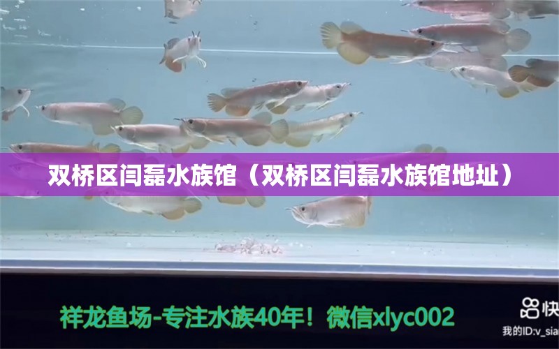 双桥区闫磊水族馆（双桥区闫磊水族馆地址）