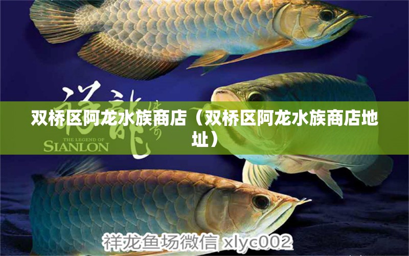 双桥区阿龙水族商店（双桥区阿龙水族商店地址）