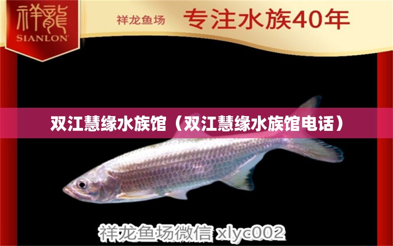 双江慧缘水族馆（双江慧缘水族馆电话） 全国水族馆企业名录