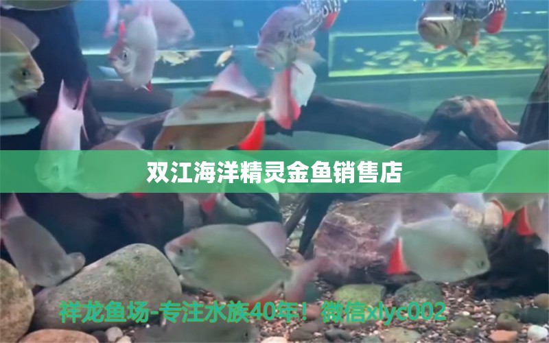 双江海洋精灵金鱼销售店 全国水族馆企业名录